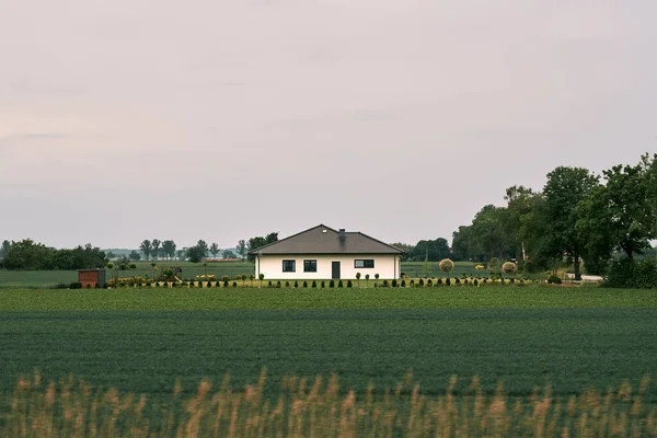 Landscape Farm Green Field — Stockfoto