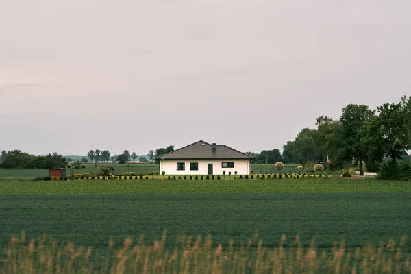 Landscape Farm Green Field — Φωτογραφία Αρχείου