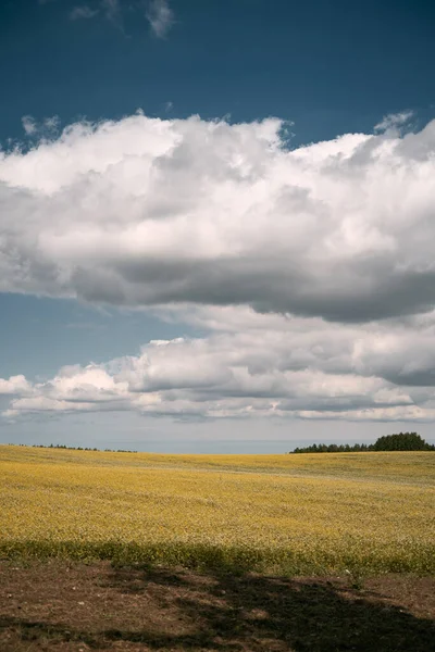 青空と黄色のフィールドと風景 村の夏の背景 — ストック写真