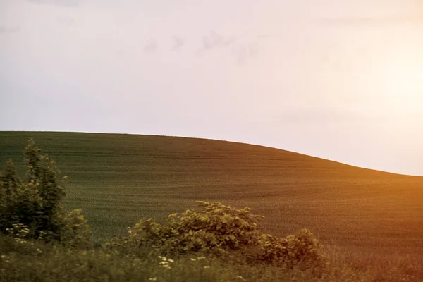 Green landscape of a rural area. Countryside agriculture view.