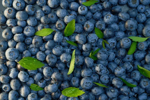 Water Drops Ripe Sweet Blueberry Vegan Vegetarian Concept Macro Texture — Zdjęcie stockowe