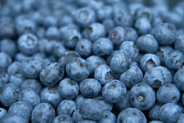 Water Drops Ripe Sweet Blueberry Vegan Vegetarian Concept Macro Texture — Zdjęcie stockowe