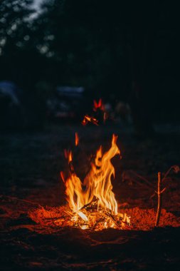 Ormanda akşam vakti çok güzel bir kamp ateşi. Kamp alanında alacakaranlıkta ateş yanıyor. Güzel bir nehrin kıyısında. Arka planda akşam gökyüzü var.