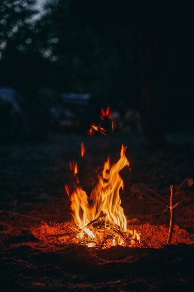 Beautiful campfire in the evening at the forest. Fire burning in dusk at campsite near a river in beautiful nature with evening sky at background