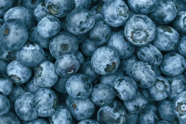 Fresh Hand Picked Blueberry Background Mock Design Vegan Healthy Food — ストック写真