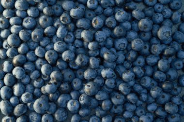 Blueberry flat lay photo. Close up of blueberries texture. Top view of summer berries on a table. Design mock-up for a diet or a healthy food