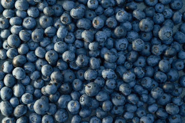 Blueberry Flat Lay Photo Close Blueberries Texture Top View Summer — Stock Photo, Image