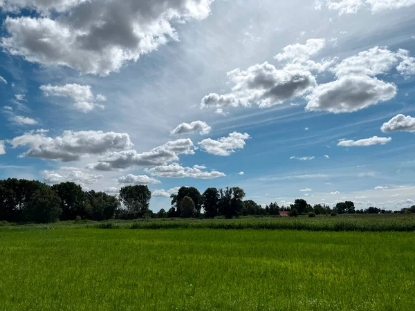 Summer Rural River Landscape Sunny Day Countryside Panorama Grass Trees — Photo