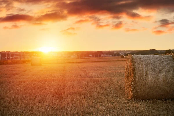 Dramatic beautiful landscape of a harvested field with a hay bale roll. Summer sunset in the rural area. Warm countryside harvesting meadow panorama.