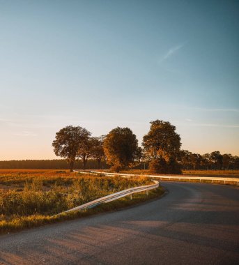 Empty asphalt road at sunset with trees along. Summer trip in the country concept.