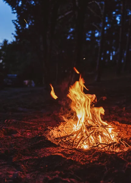 Ormanda akşam vakti çok güzel bir kamp ateşi. Kamp alanında alacakaranlıkta ateş yanıyor. Güzel bir nehrin kıyısında. Arka planda akşam gökyüzü var.