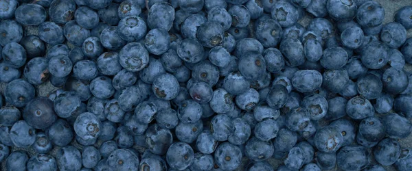 Top View Background Freshly Picked Blueberries Blueberry Texture Close Blueberry — Zdjęcie stockowe