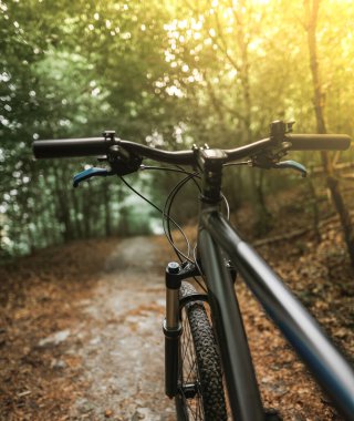 First-person view cycling in the forest. Close-up of a mountain bike handlebar. Summertime outdoor leisure sport activity concept.