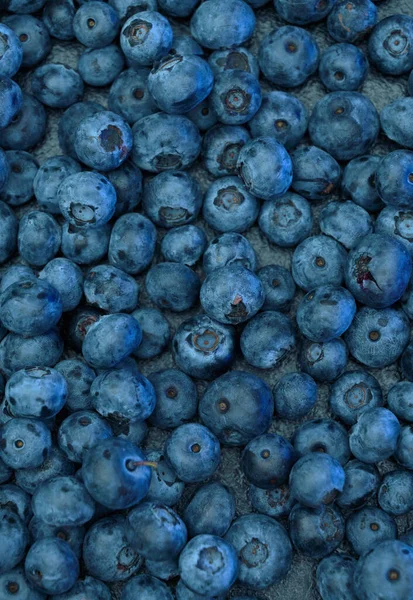 Ripe Sweet Blueberry Fresh Blueberries Background Copy Space Your Text — Zdjęcie stockowe