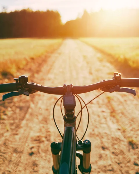 Bike handlebars. First-person view of mountain bicycle on the forest path. Riding a bike in a beautiful summer sunset nature landscape.