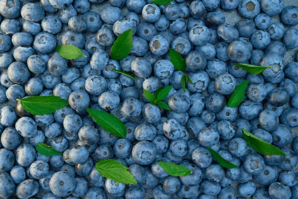 Vegan mock-up background. Fresh blueberry flat lay. Blueberries ready to eat snack concept.