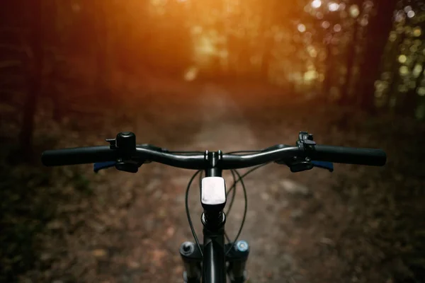 Mountain biker riding on flow single track trail in green forest, POV behind the bar\'s view of the cyclist. POV MTB riding in the woods. Outdoors active sports concept.