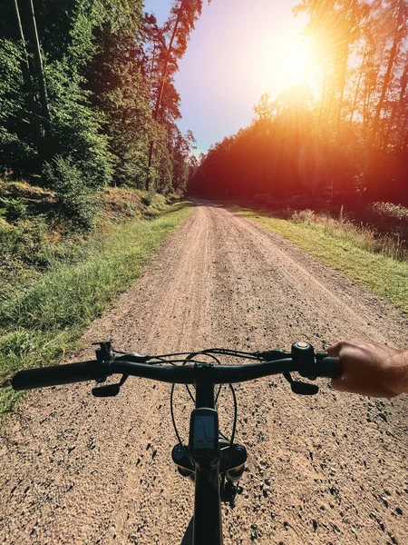 Mountain biker riding on flow single track trail in green forest, POV behind the bar\'s view of the cyclist. POV MTB riding in the woods. Outdoors active sports concept.