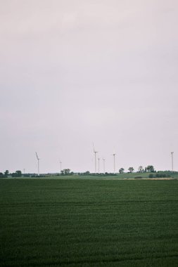 Yeşil tarlalardaki uzak yel değirmeni çiftliği. Yeşil ve yenilenebilir enerji üreten rüzgar türbinleri