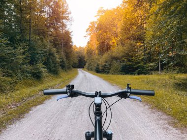 First-person view cycling in the forest. Close-up of a mountain bike handlebar. Summertime outdoor leisure sport activity concept.