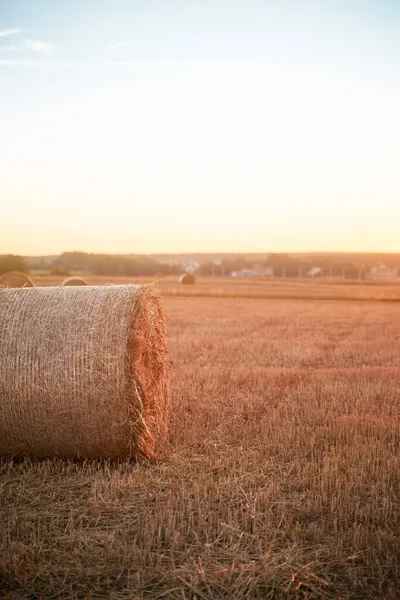 Dramatic beautiful landscape of a harvested field with a hay bale roll. Summer sunset in the rural area. Warm countryside harvesting meadow panorama.
