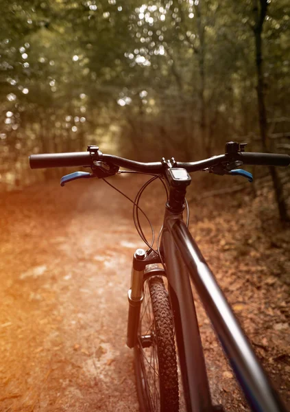 Mountain Biker Riding Flow Single Track Trail Green Forest Pov — Stock Photo, Image