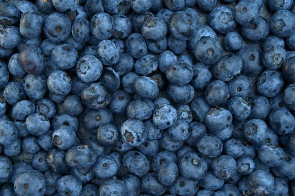 Water Drops Ripe Sweet Blueberry Vegan Vegetarian Concept Macro Texture — ストック写真