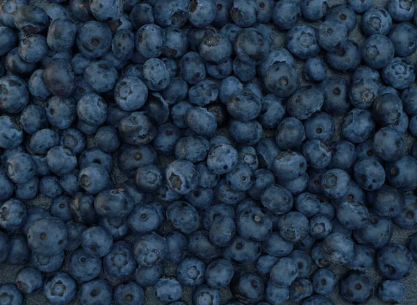 Top view background from freshly picked blueberries. Blueberry texture close-up blueberry