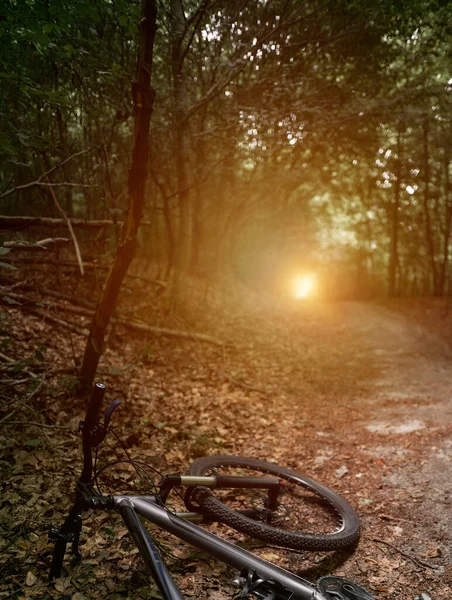 Mountain bike in the woods. Bicycle with forest background. Active outdoor lifestyle concept.