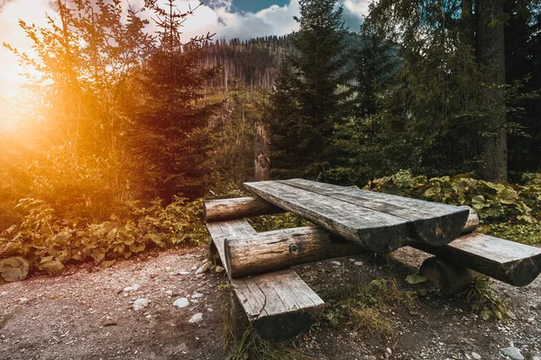 Meubles Extérieurs Bois Vides Dans Parc National Des Tatra Concept — Photo