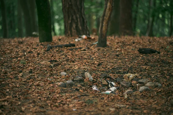 2022 Gdansk Poland Litter Trash Forest Pile Garbage Woods Foliage — Φωτογραφία Αρχείου