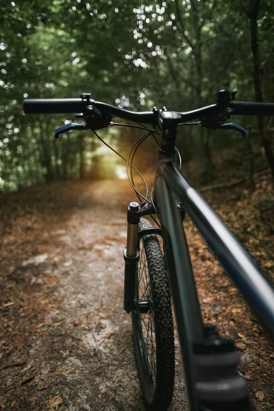 Mountain Bike Woods Bicycle Forest Background Active Outdoor Lifestyle Concept — Stock fotografie