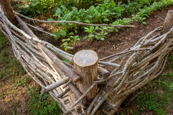 Clôture Branche Tissée Traditionnelle Potager — Photo