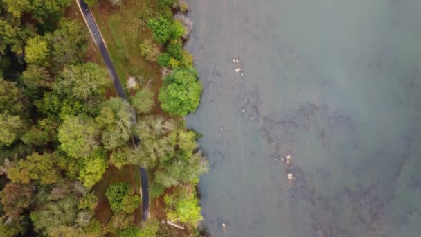 俯瞰着秋天落叶和浅水的健身小径 美国南卡罗来纳州卡塔瓦巴河上的秋天 — 图库视频影像