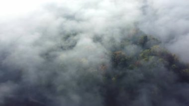 Fısıldayan alçak bulutlar sonbahar renkleriyle ormanda sürükleniyor