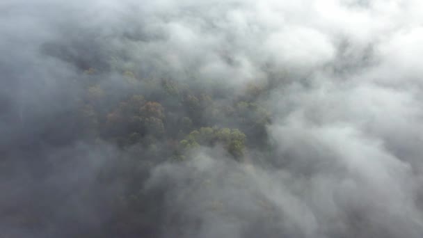 Šeptající Nízké Mraky Plující Nad Lesem Podzimními Barvami — Stock video