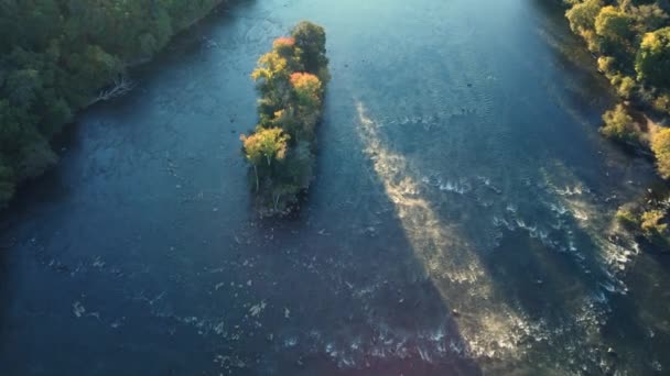 Nehirde Yükselen Sis Düşen Yapraklar Sabah Işığı Ile Küçük Bir — Stok video