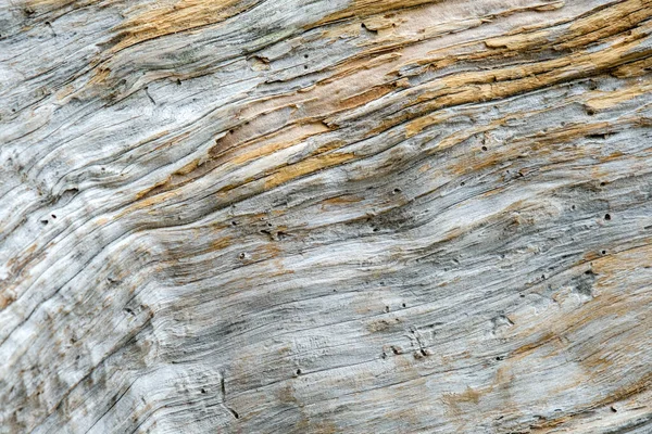 Αφηρημένη Υφή Μακροσκοπική Άποψη Της Driftwood — Φωτογραφία Αρχείου
