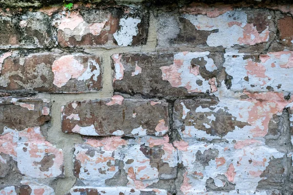 Pelar Pintura Rosa Blanca Pared Ladrillo Viejo — Foto de Stock