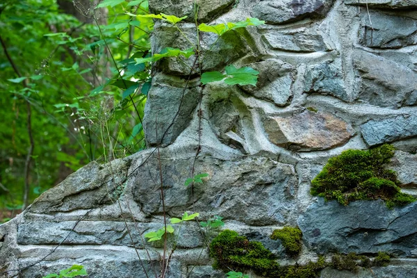 Old Worn Stonework Moss Surrounded Forest — Photo