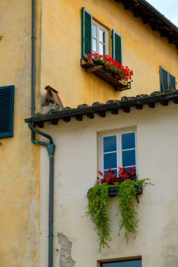 Lucca, İtalya 'nın geleneksel mimarisinin pencerelerini canlı çiçekler süslüyor.