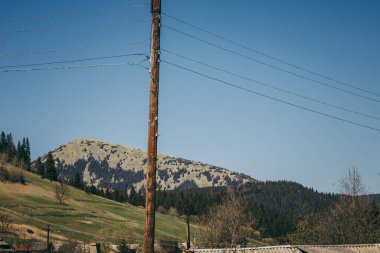 Taş dağ, ladin ormanı ve elektrik direği.