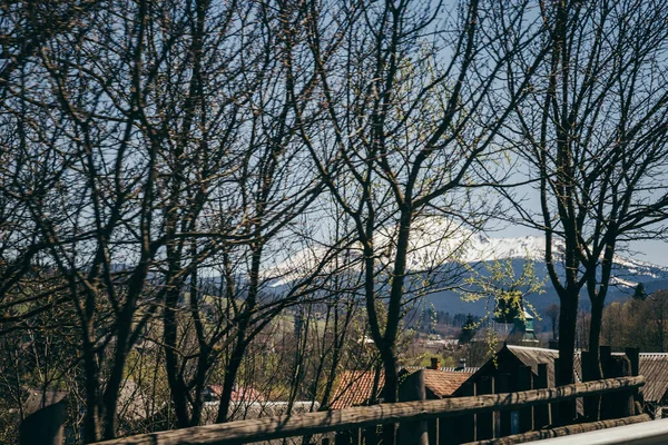 Hora ve sněhu, hustý les a hory — Stock fotografie