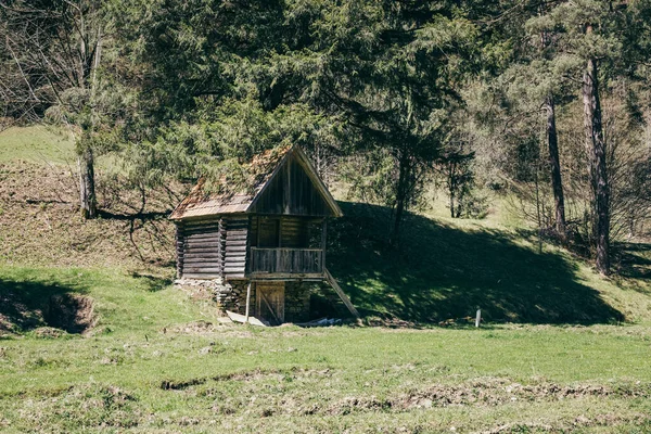 Cabaña de madera en una montaña conífera un bosque Imágenes De Stock Sin Royalties Gratis