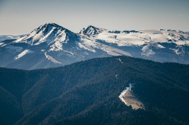 Dağlar, kardaki kozalaklı orman, ilkbahar, kış