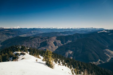 Dağlar, kardaki kozalaklı orman, ormansızlaşma, bahar