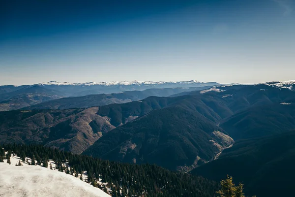 Berge, Nadelwald im Schnee, Frühling, Winter — Stockfoto