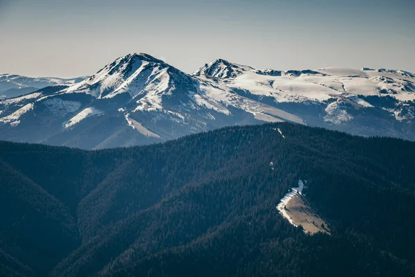 Berg, barrskog i snön, vår, vinter — Stockfoto
