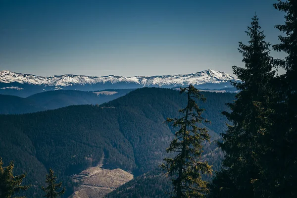 Besneeuwde bergen, naaldbomen ontbossing, een bron, een winter — Stockfoto
