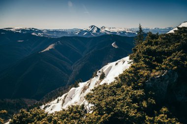 Dağlar, kardaki kozalaklı orman, ilkbahar, kış